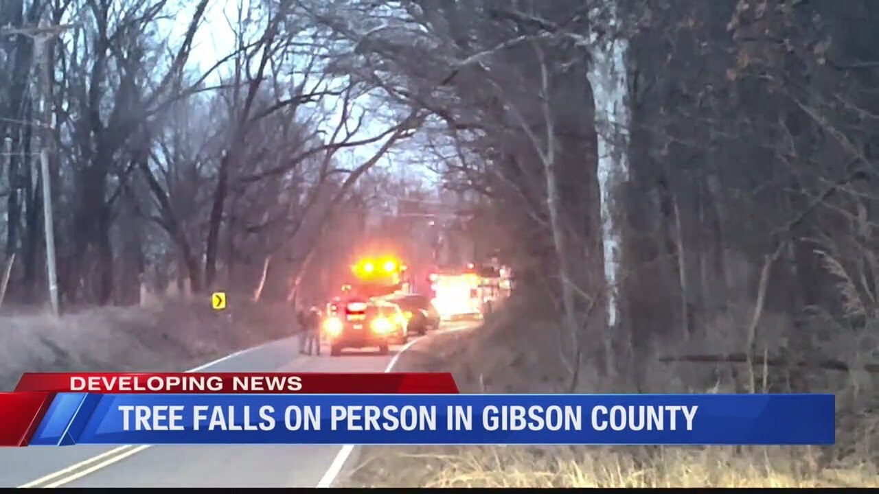 gibson county news